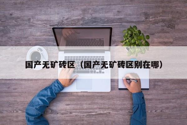 国产无矿砖区（国产无矿砖区别在哪）