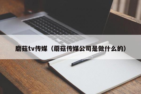 磨菇tv传媒（蘑菇传媒公司是做什么的）