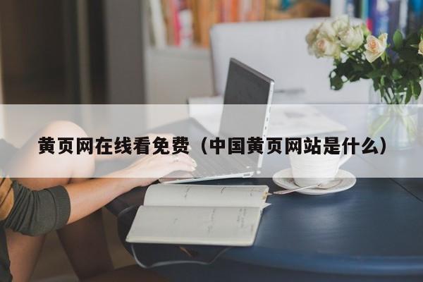 黄页网在线看免费（中国黄页网站是什么）