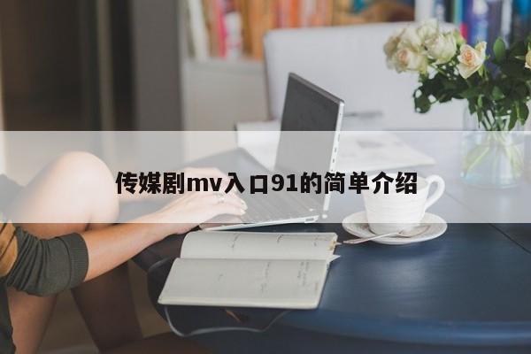 传媒剧mv入口91的简单介绍