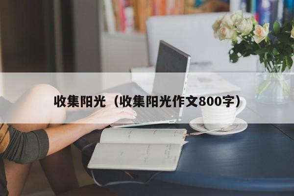 收集阳光（收集阳光作文800字）